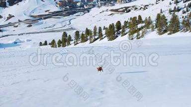 可爱可爱的棕色小狗在雪地里奔跑